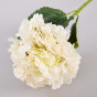 Цветок Ortensia