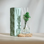 Диффузор Bamboo 100 мл