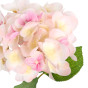Цветок Hydrangea Eype - фото № 2