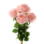 Цветок Rosa