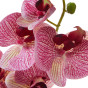 Ветвь Orquídea - фото № 2