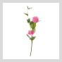 Цветок Hydrangea, розовый - фото № 3