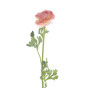 Цветок Fiore