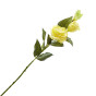 Цветок Eustoma - фото № 2