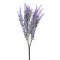 Цветок Lavanda
