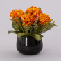 Горшок с цветами Crisantemo