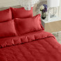 Постельное белье Red velvet - фото № 7