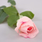 Цветок Rosa