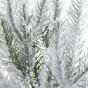 Ветвь Branche - фото № 2