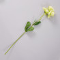 Цветок Azalea - фото № 2