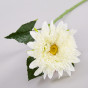 Цветок Gerbera