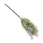 Цветок Lavender - фото № 2