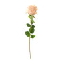 Цветок Rose - фото № 2