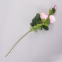 Цветок Riccio - фото № 2