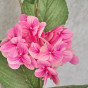 Цветок Hydrangea, розовый - фото № 2