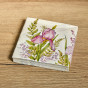 Салфетки бумажные Iris