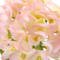 Цветок Hydrangea, белый - фото № 2