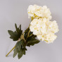 Цветок Ortensia - фото № 2