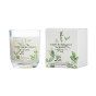 Свеча ароматическая Lime bergamot & Basil - фото № 5