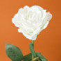 Цветок Sardegna, белый