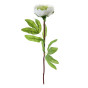Цветок Fiore, белый - фото № 2