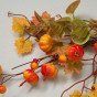 Ветвь Autumn forest III - фото № 2