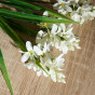 Ветвь Buona Pasqua III - фото № 3