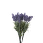 Цветок Lavender