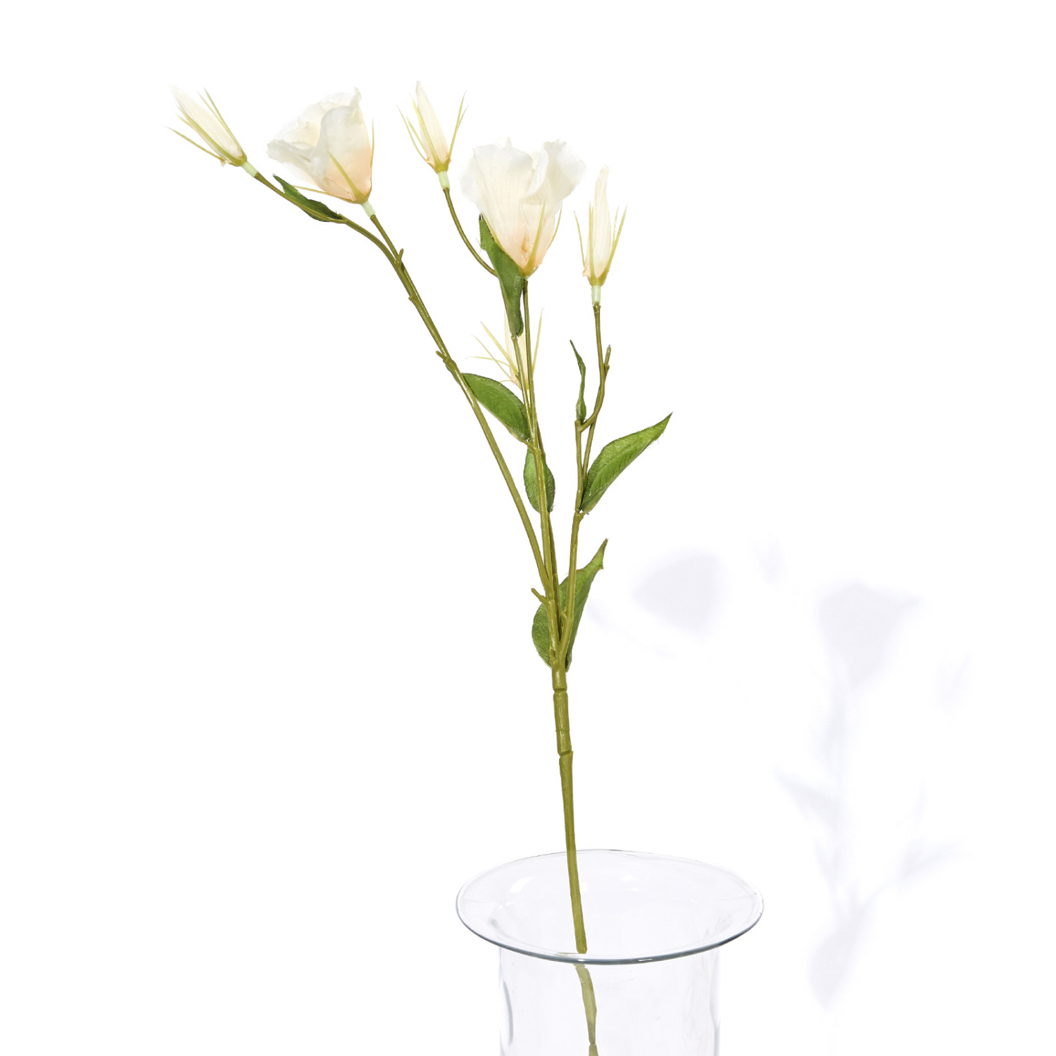 Цветок Eustoma