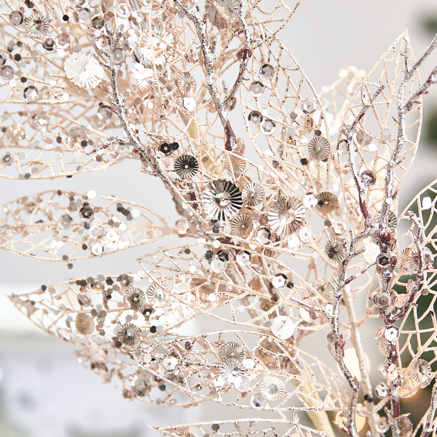 Ветвь Matellica - фото № 2