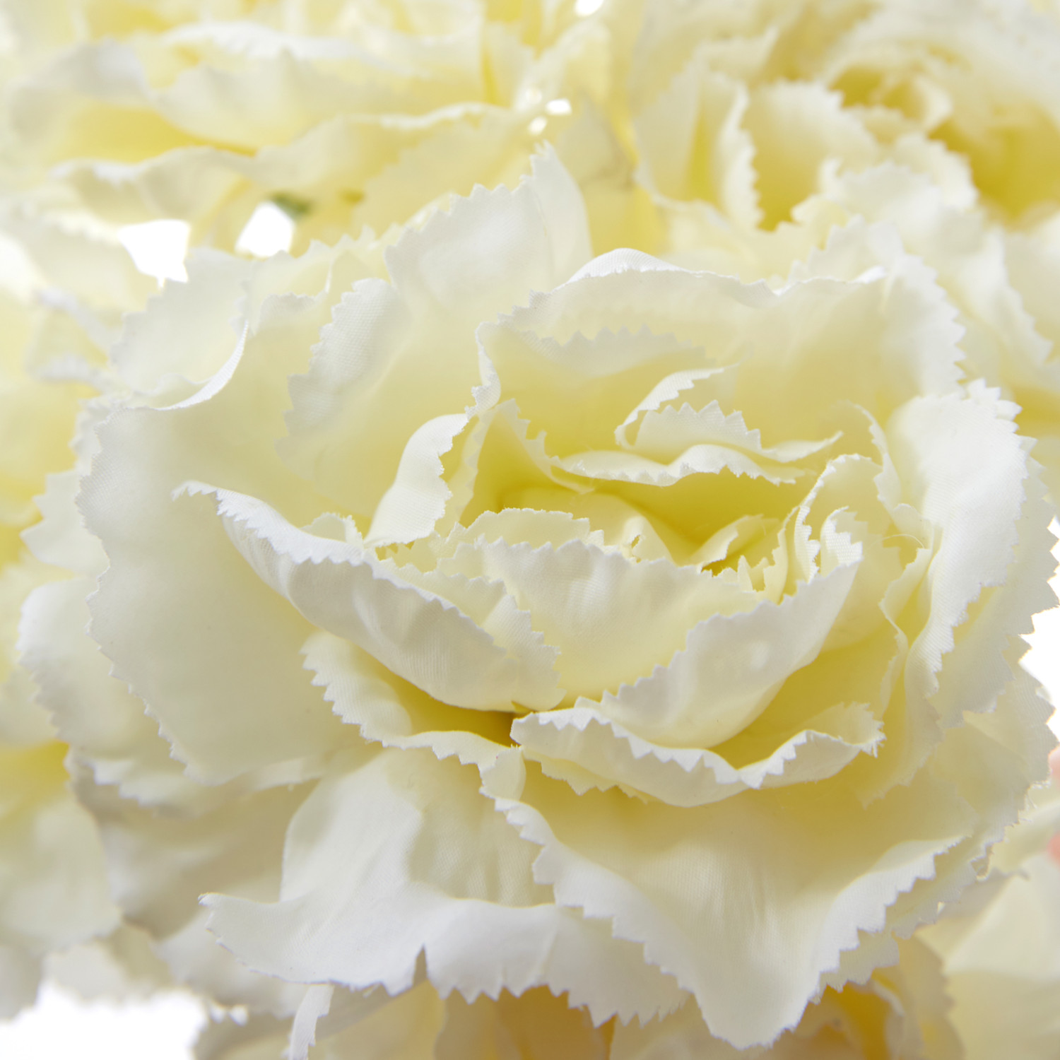 Цветок Garofano - фото № 3