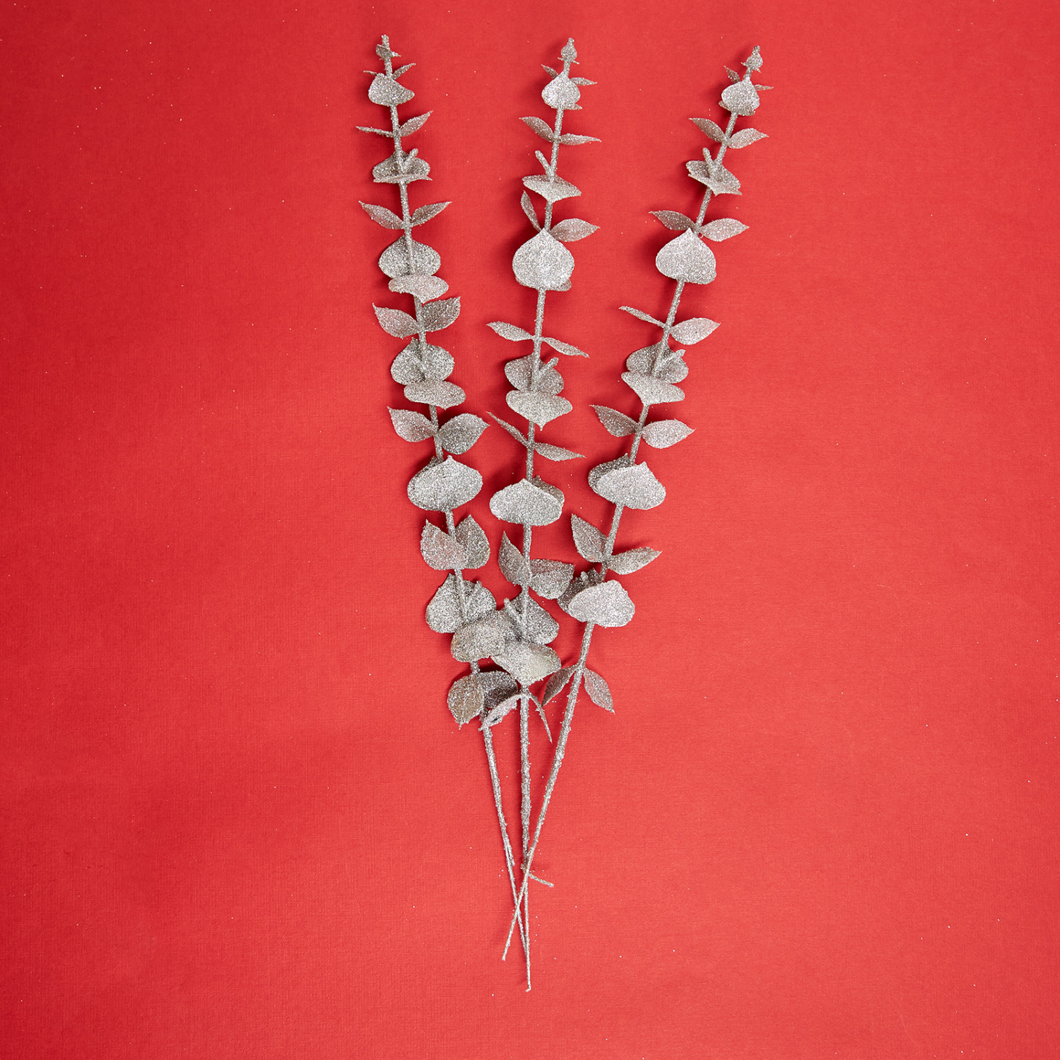 Ветвь Монтьери/Montieri II - фото № 4