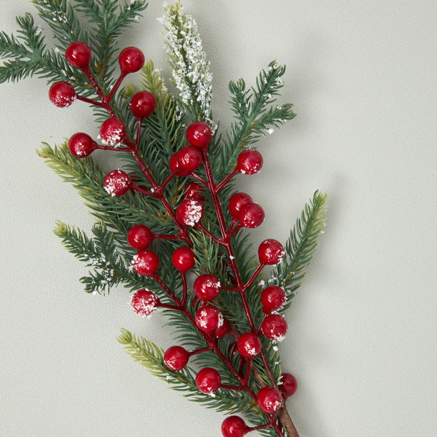 Ветвь Rametto I - фото № 3