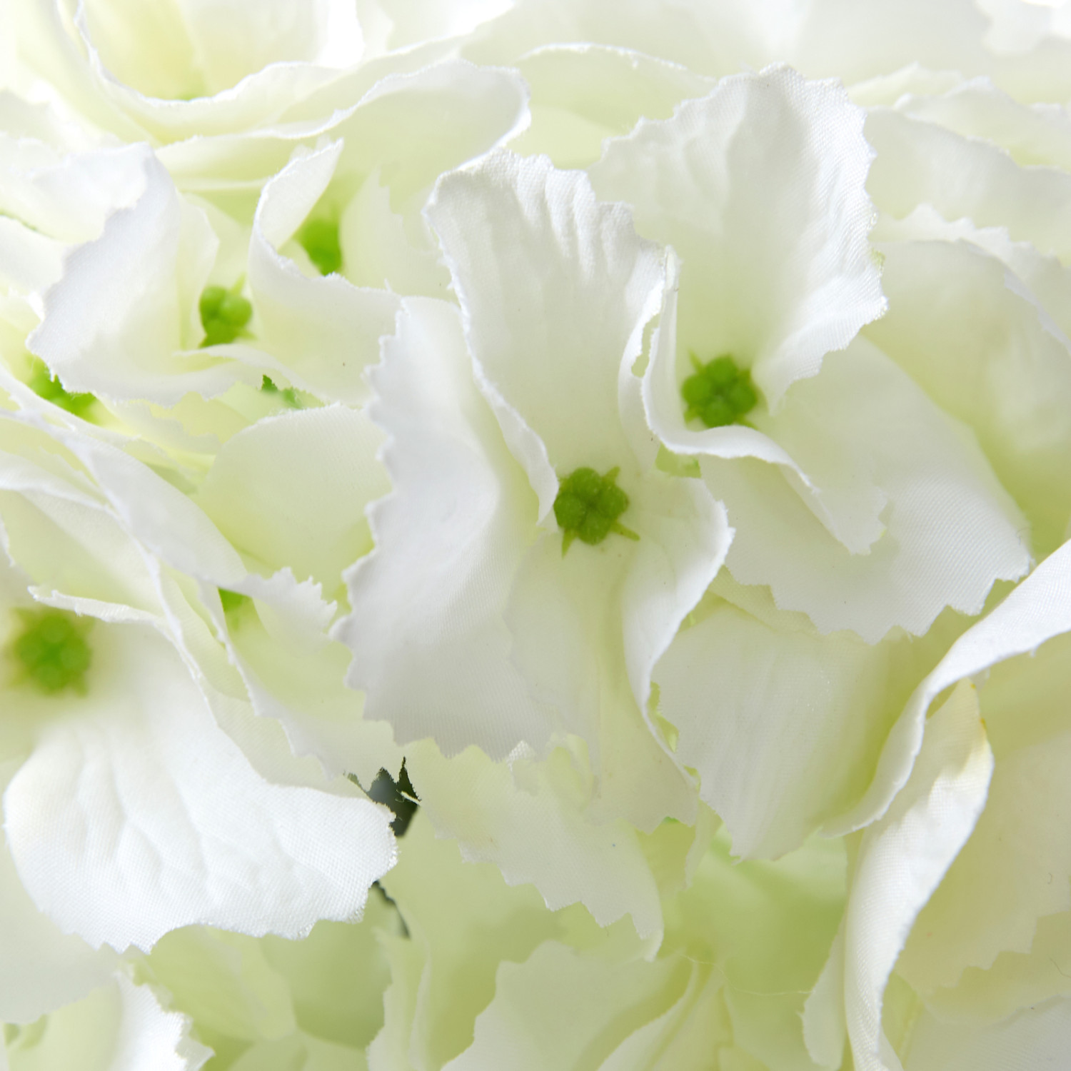 Букет Hortensia Blanca - фото № 2