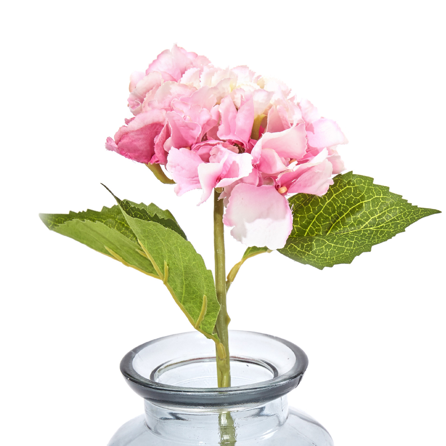 Цветок Giardino