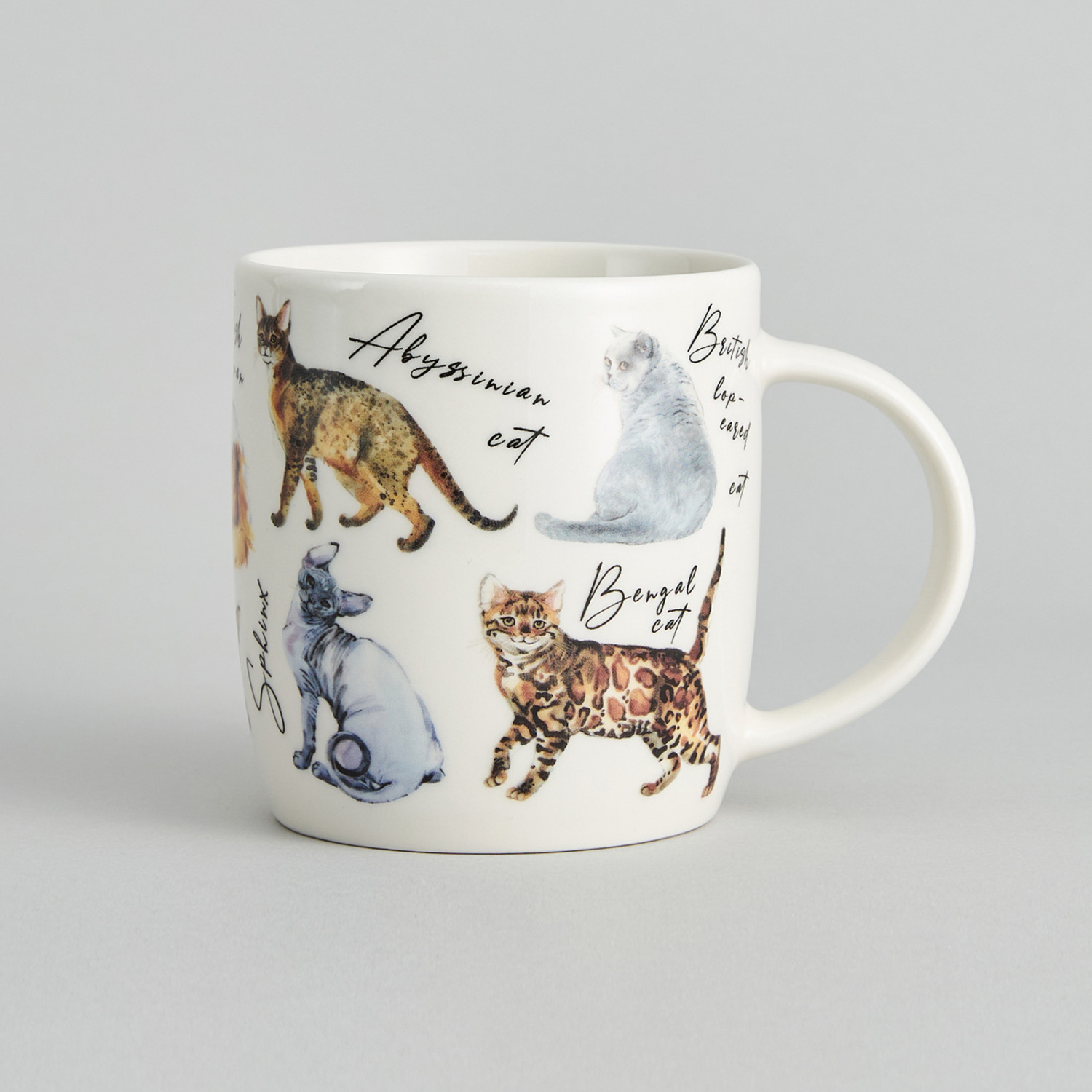 Кружка Cat club - фото № 4