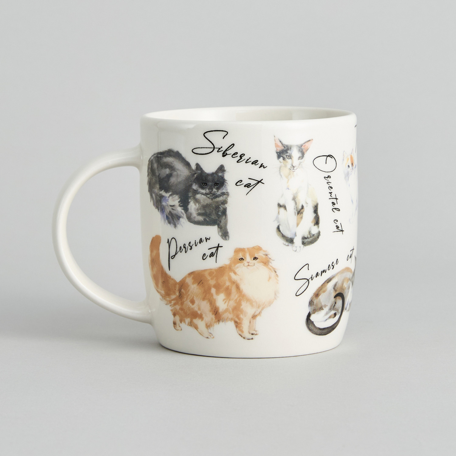 Кружка Cat club