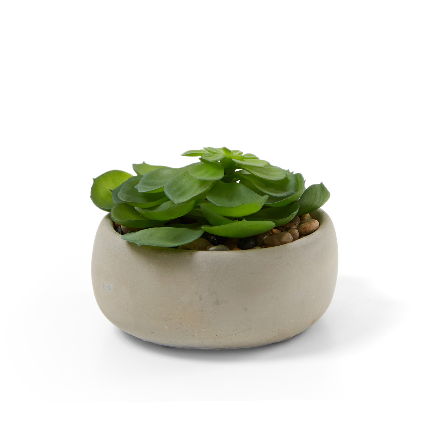 Горшок с цветами Caporio