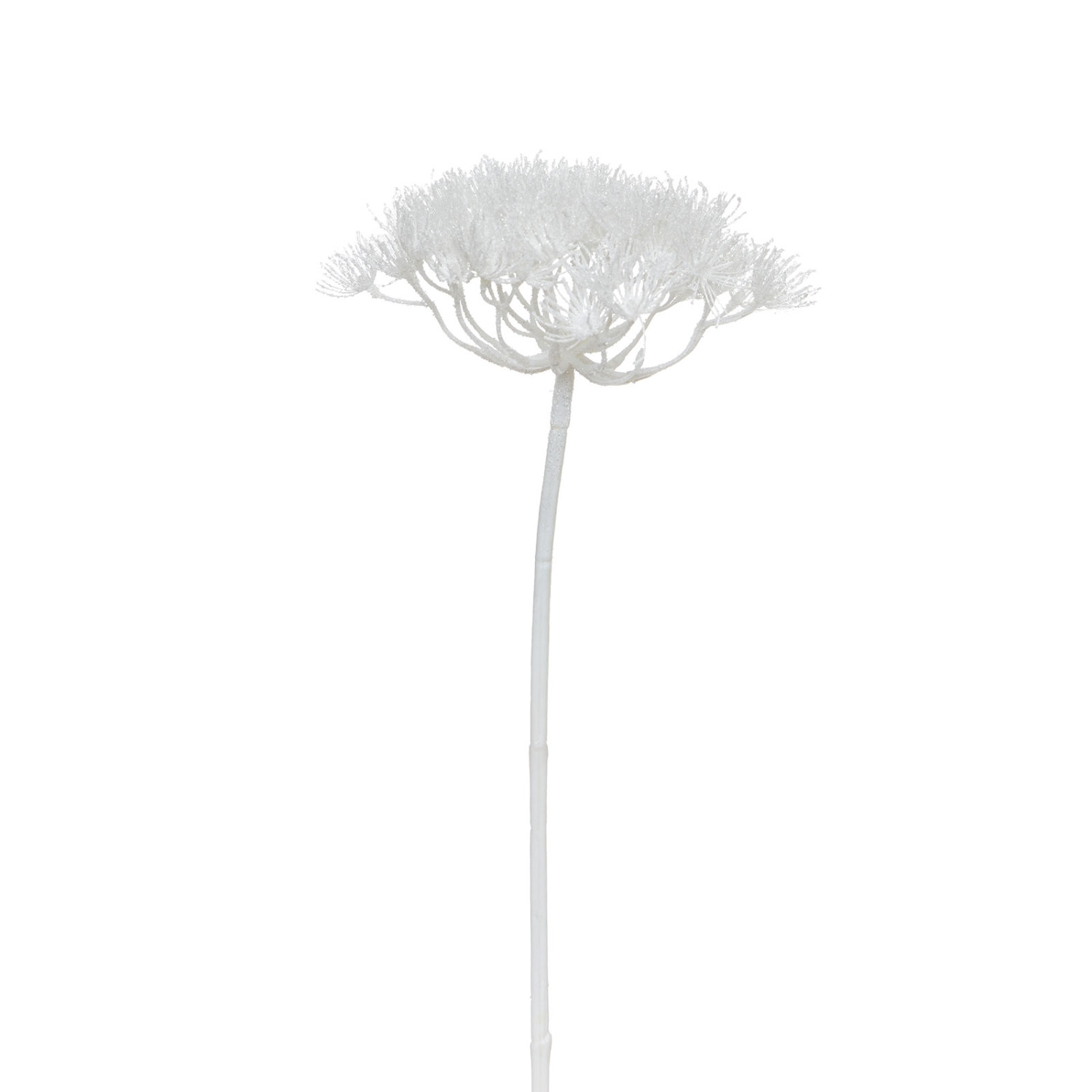 Ветвь Barenklau