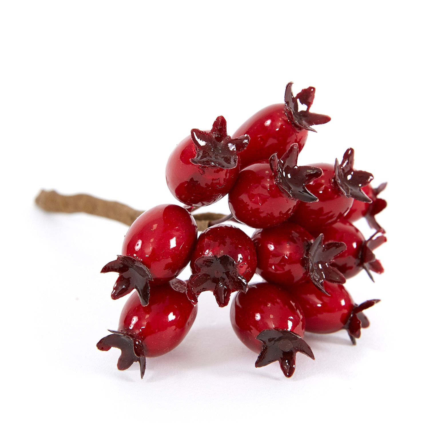 Ветвь Bacca rossa