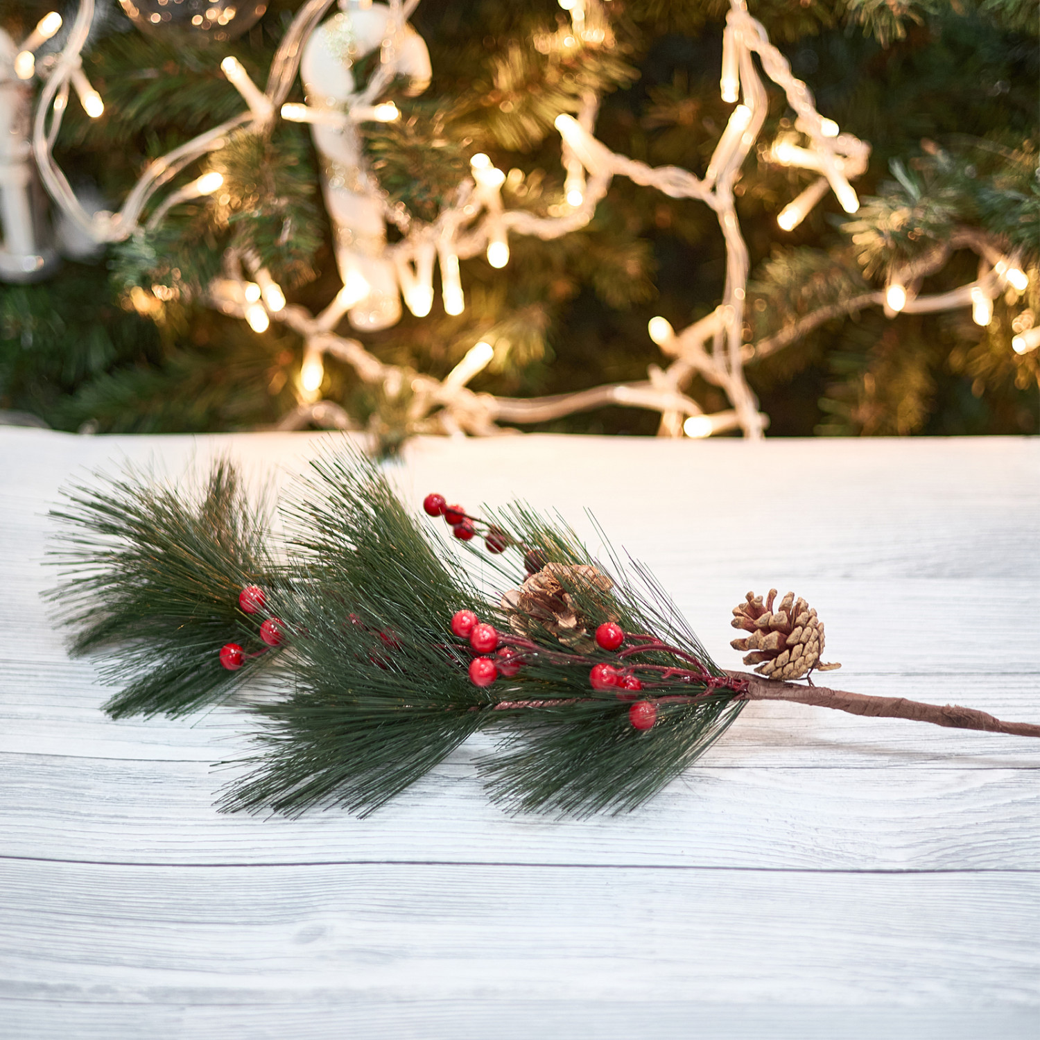 Ветвь Orbetello