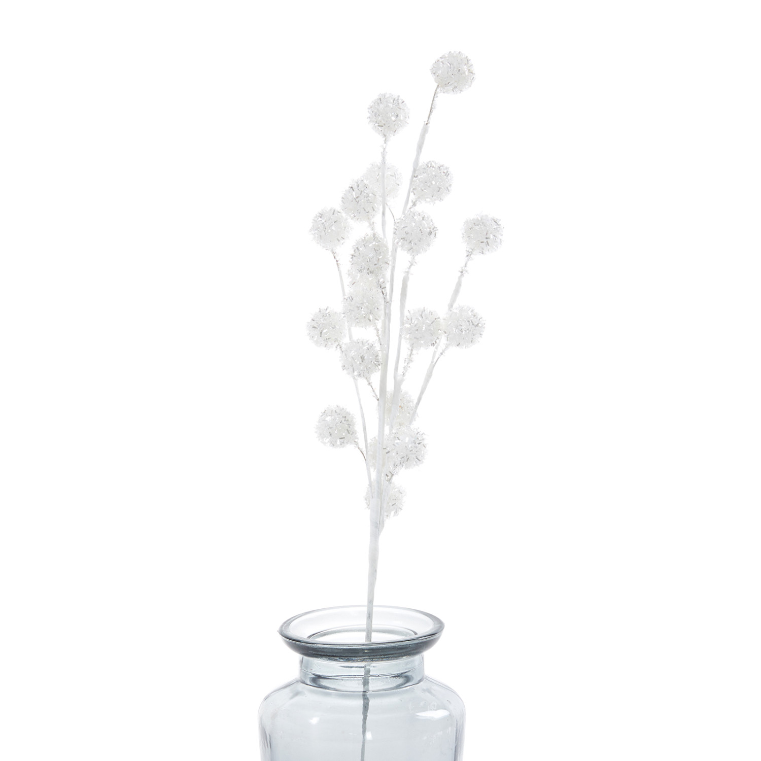 Ветвь White cones - фото № 3