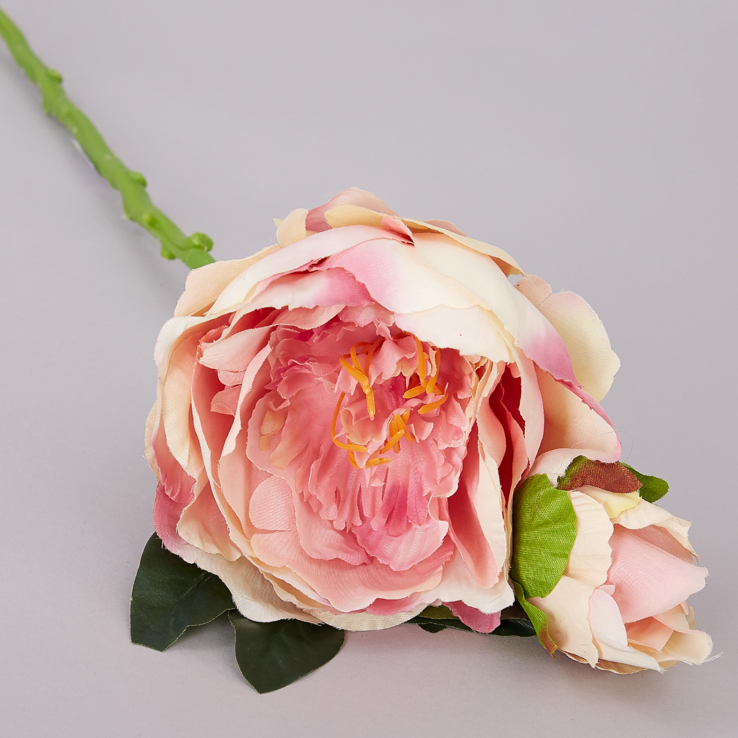 Цветок Fiore - фото № 2