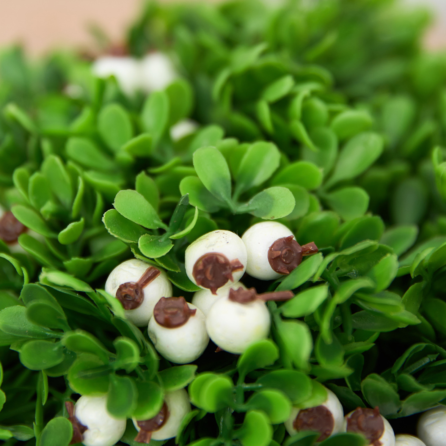 Цветок в горшке Sabino - фото № 2