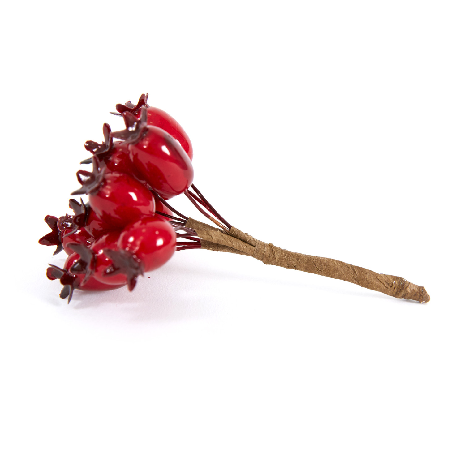 Ветвь Bacca rossa - фото № 2