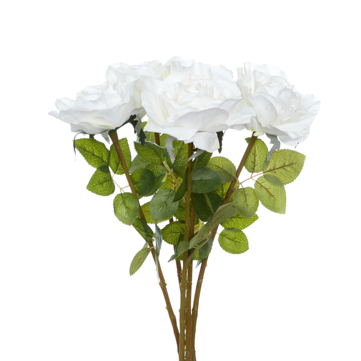 Цветок Cantiano - фото № 3