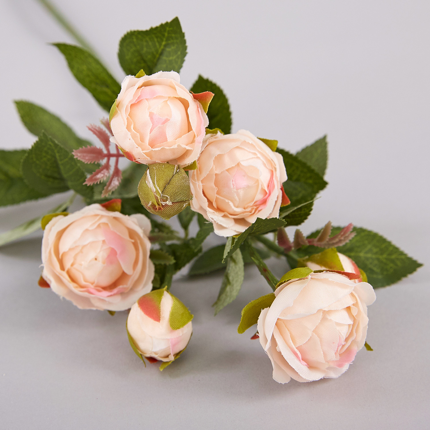 Цветок Imperia