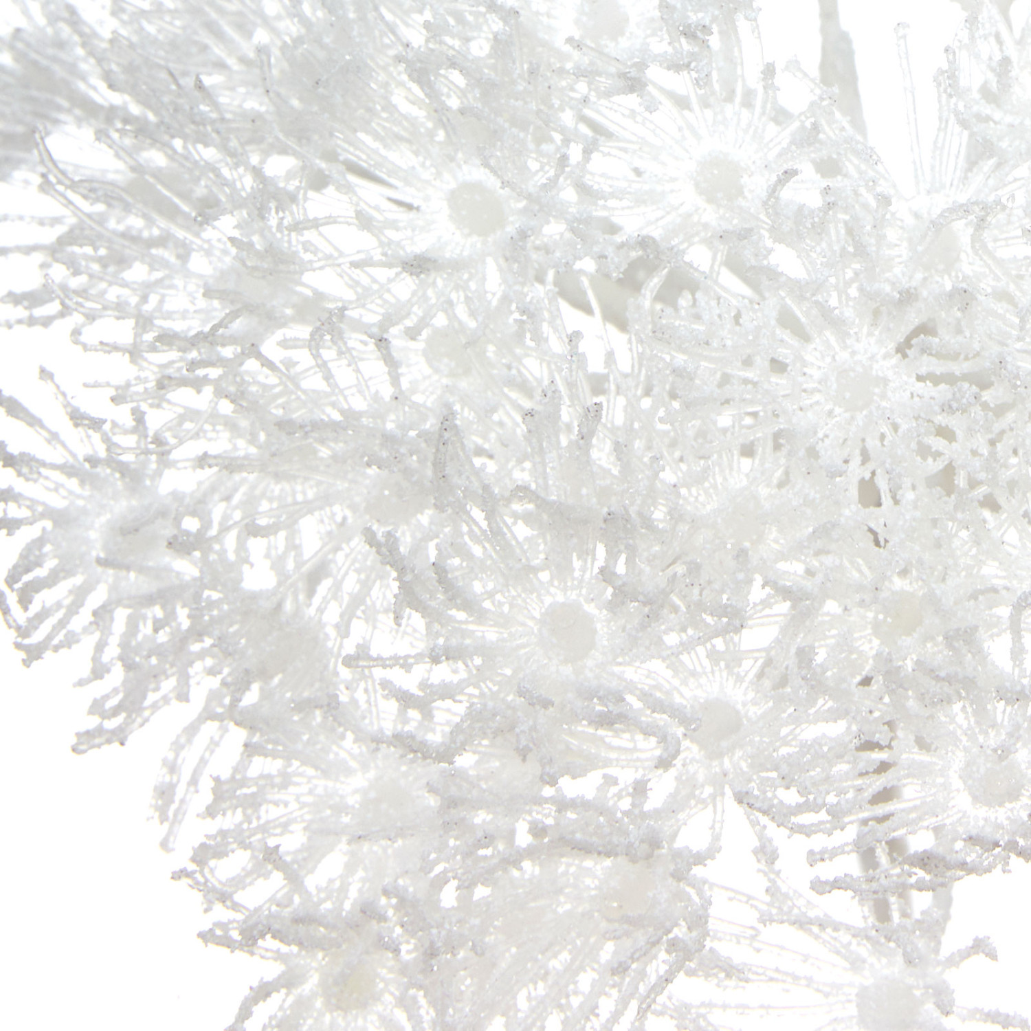 Ветвь Barenklau - фото № 2