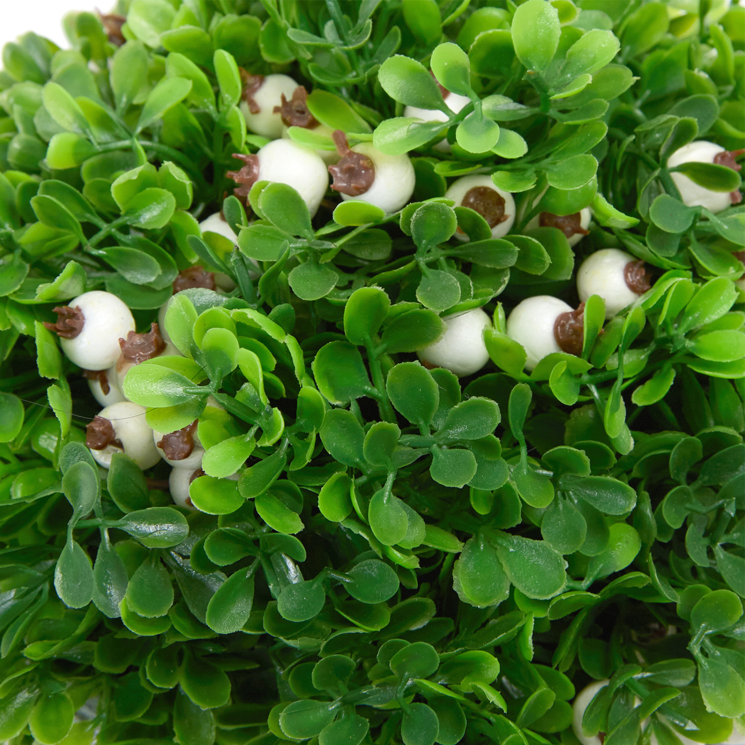 Цветок в горшке Sabino - фото № 4