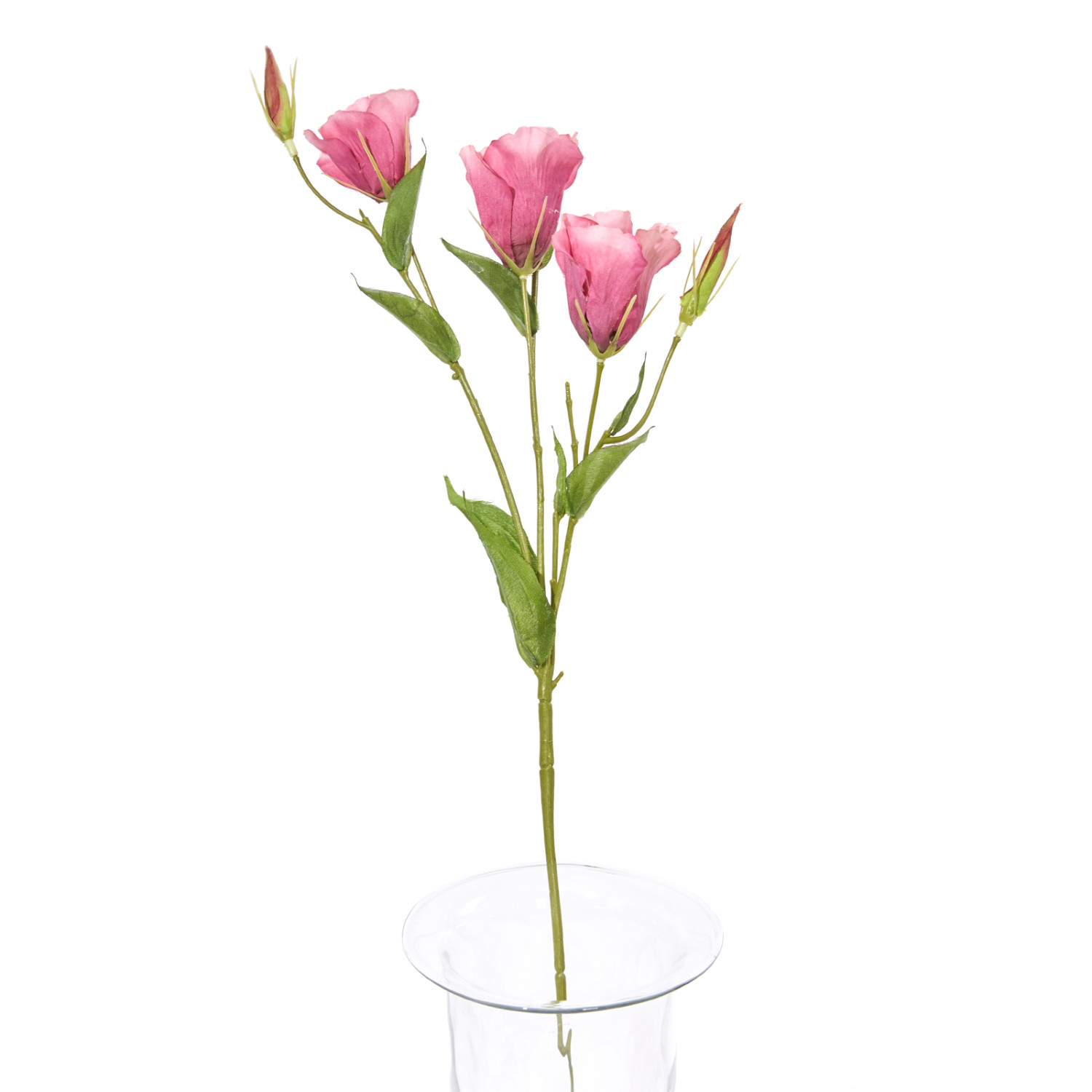 Цветок Eustoma